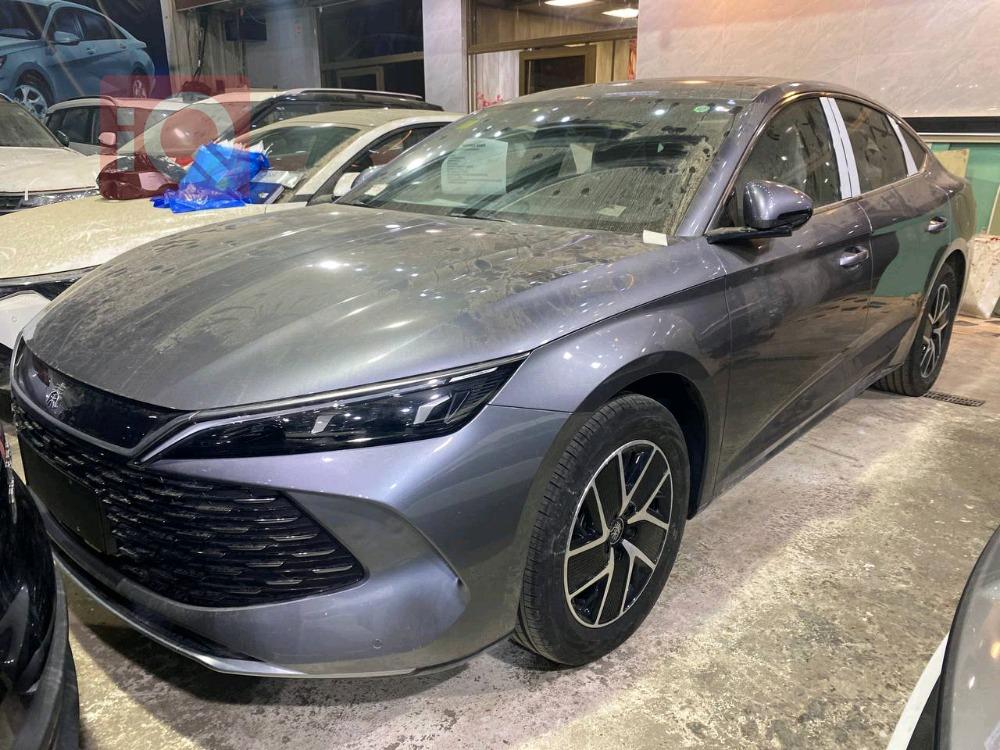 بي واي دي كوين L DM-i